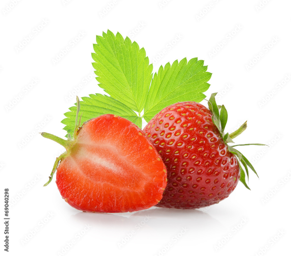 白色草莓分离物