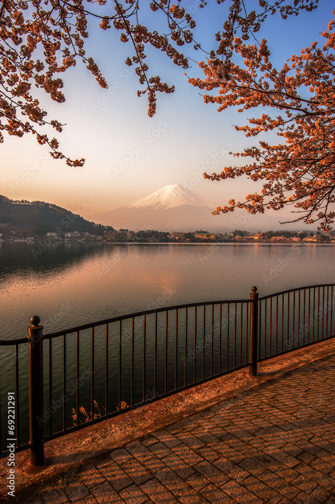 Fujisan , Mount Fuji view from Kawaguchiko lake, Japan with cher