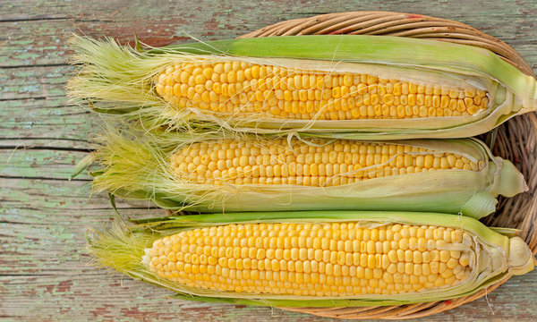 corn on the cob in basket