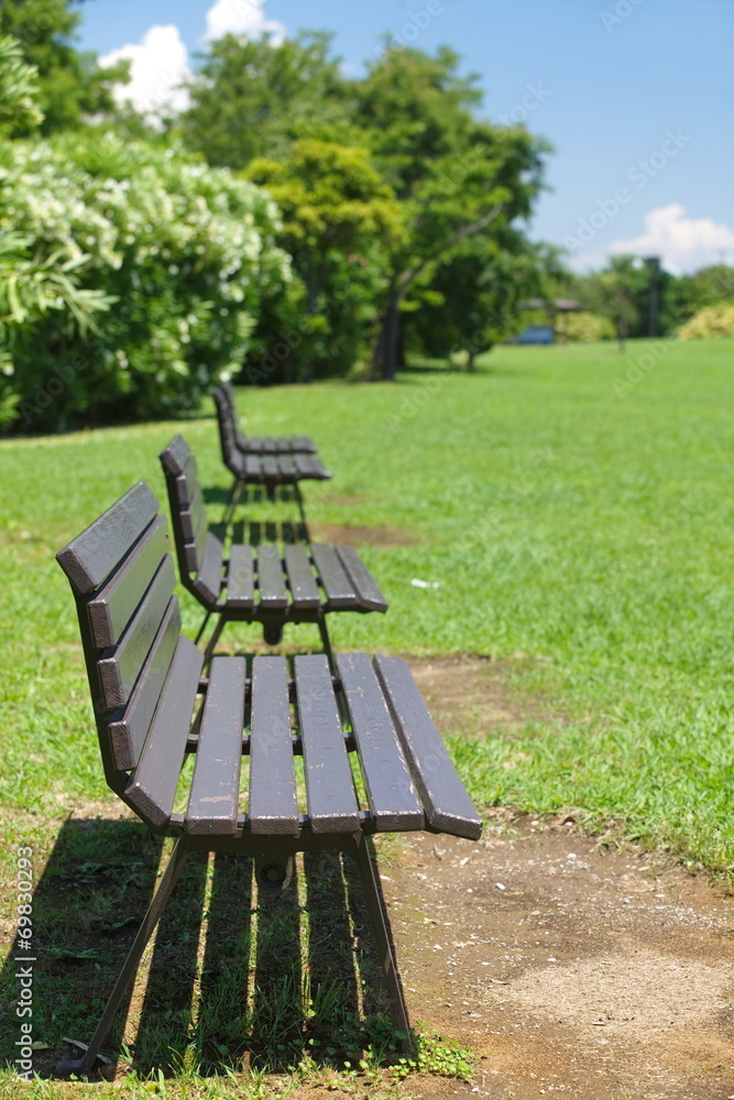 绿色公园的一排棕色木长椅