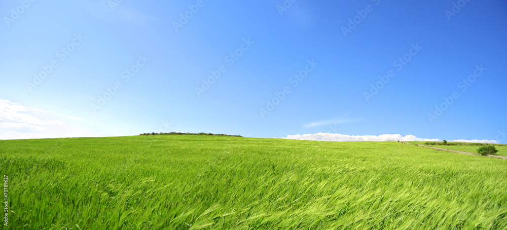 Collina con prato verde e cielo azzurro - Terra - Pianeta verde