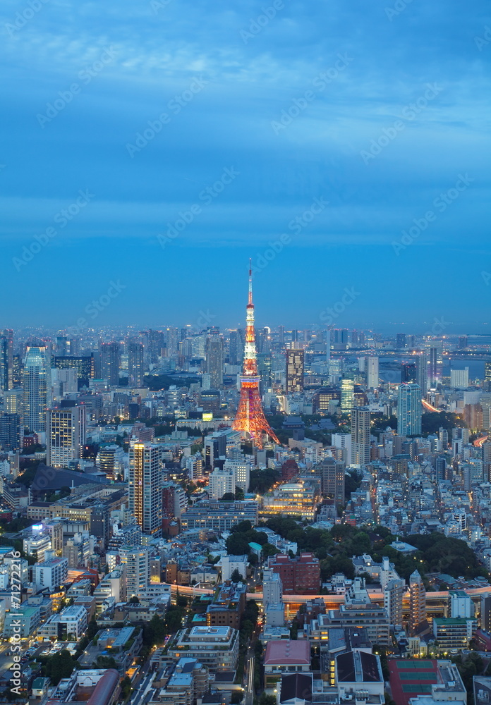 黄昏时的日本东京城市景观空中城市景观。