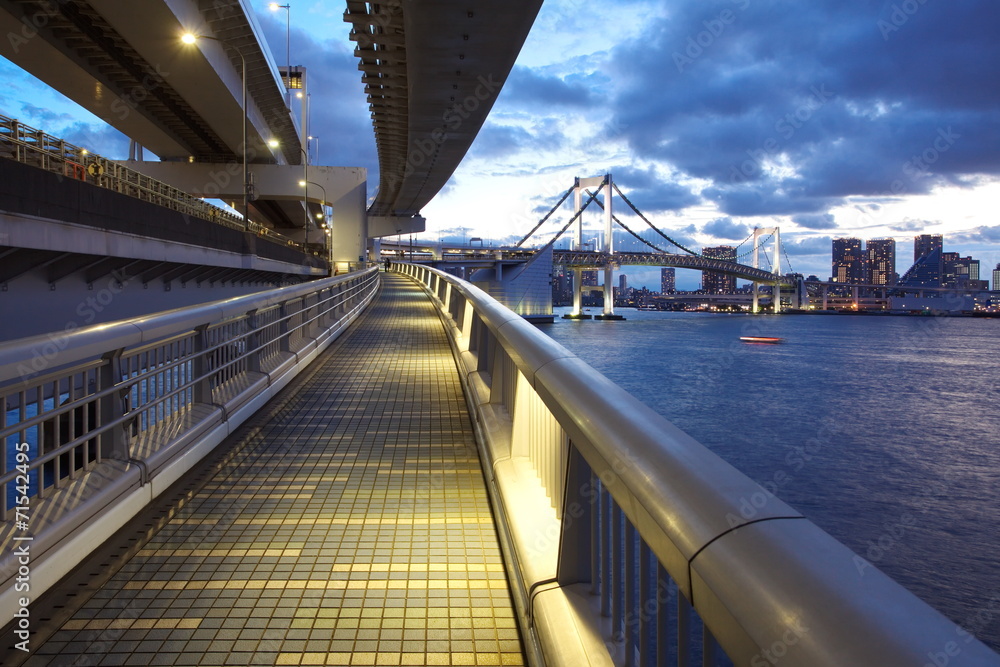 日落时分的东京湾和彩虹桥从步行穿过
