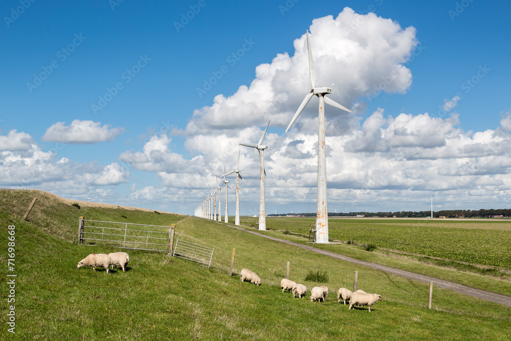 荷兰牧场有羊，风力涡轮机有云