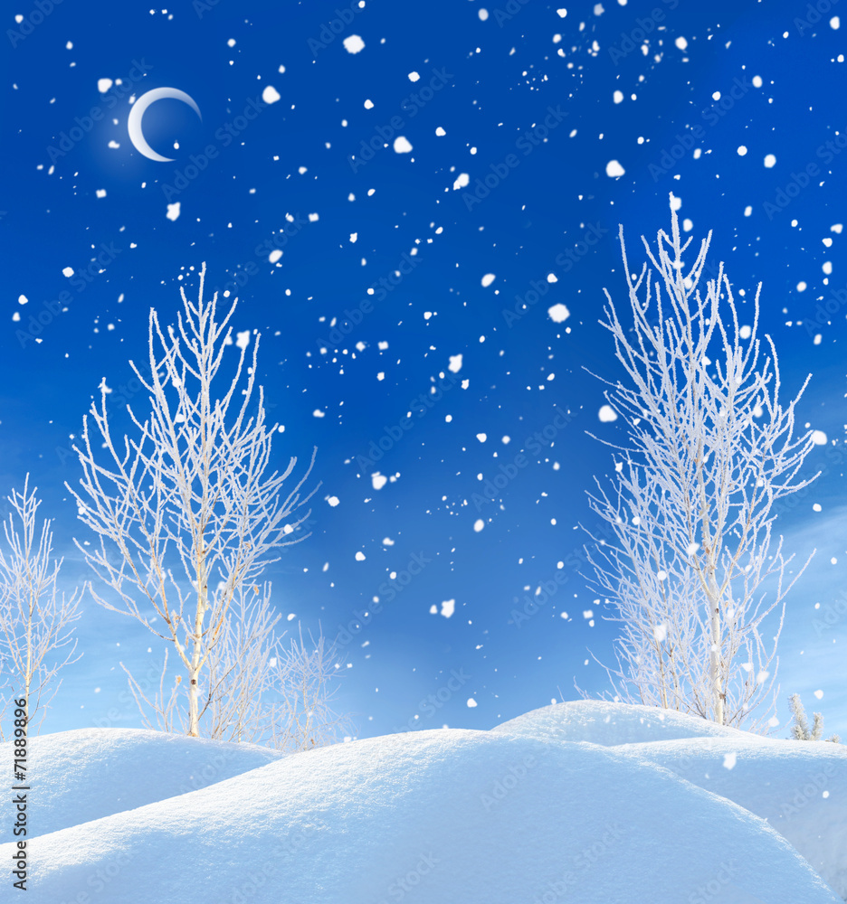 beautiful winter night landscape