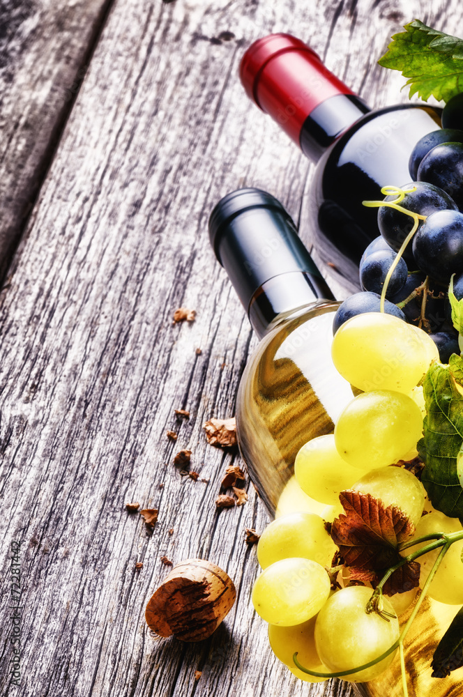 瓶装红葡萄酒和白葡萄酒配新鲜葡萄