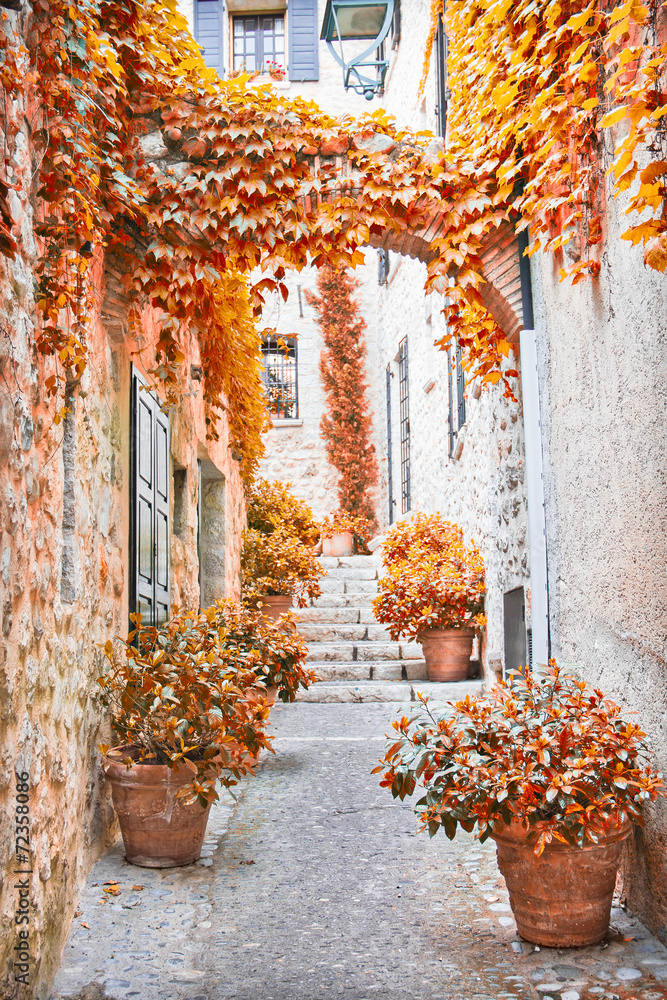 秋天普罗旺斯的街道