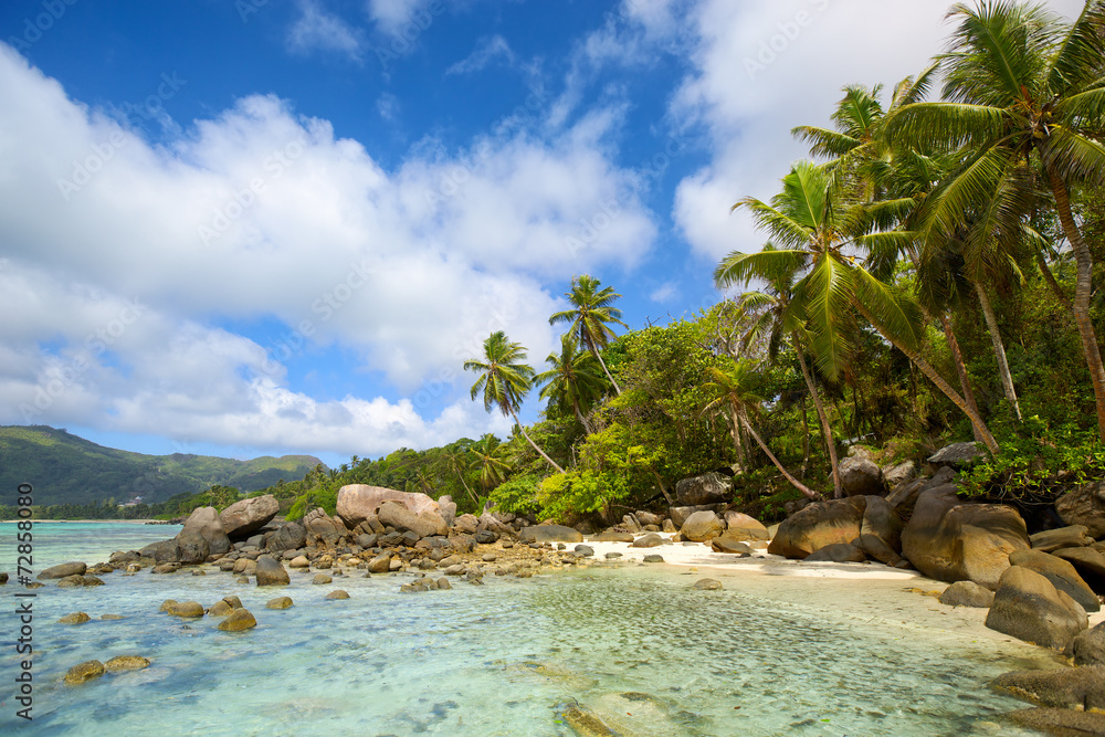 塞舌尔马埃岛的热带海滩，棕榈树和岩石