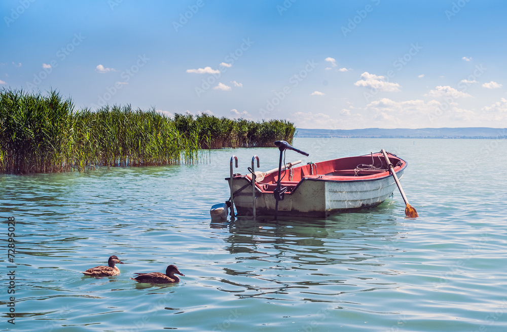 一艘船和野鸭漂浮在巴拉顿湖中