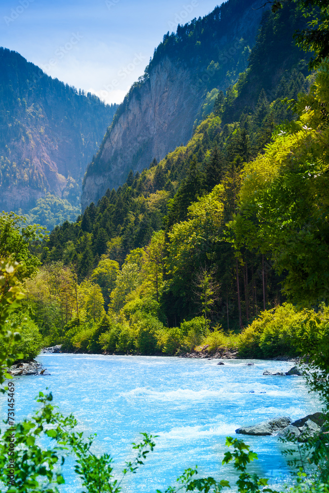 阿尔卑斯山附近森林中美丽的河流