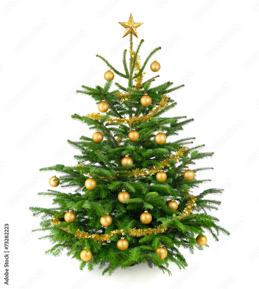 Schöner, gold geschmückter Weihnachtsbaum