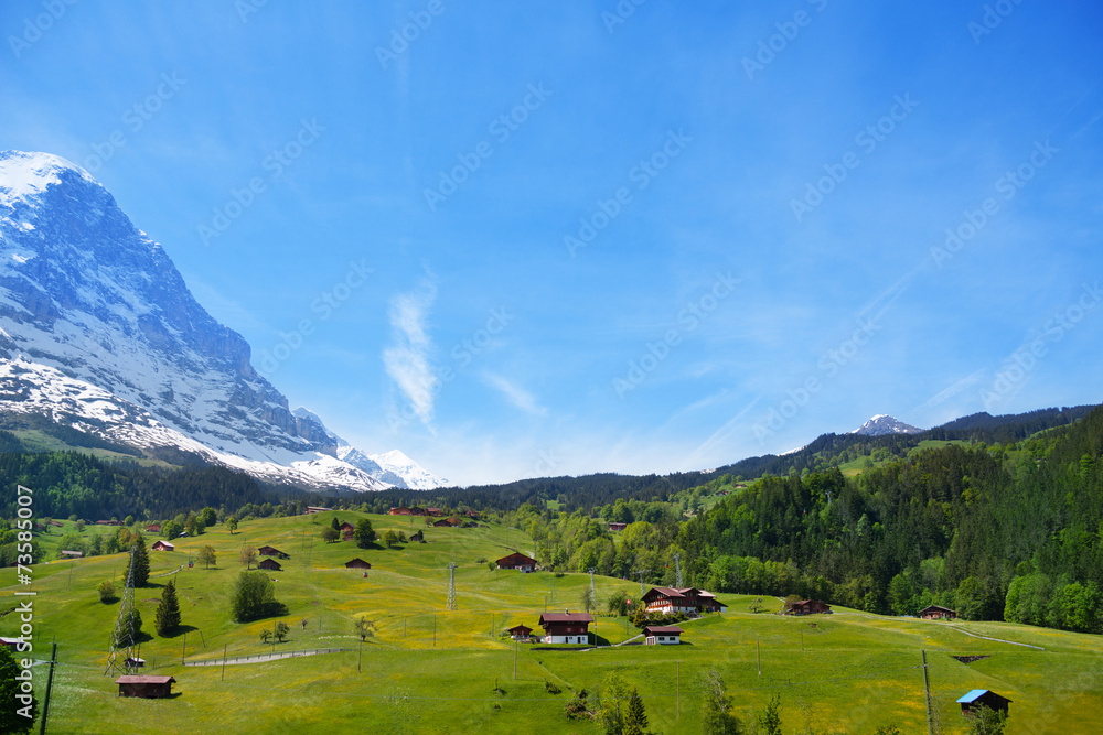 夏季阿尔卑斯山附近的乡村景观