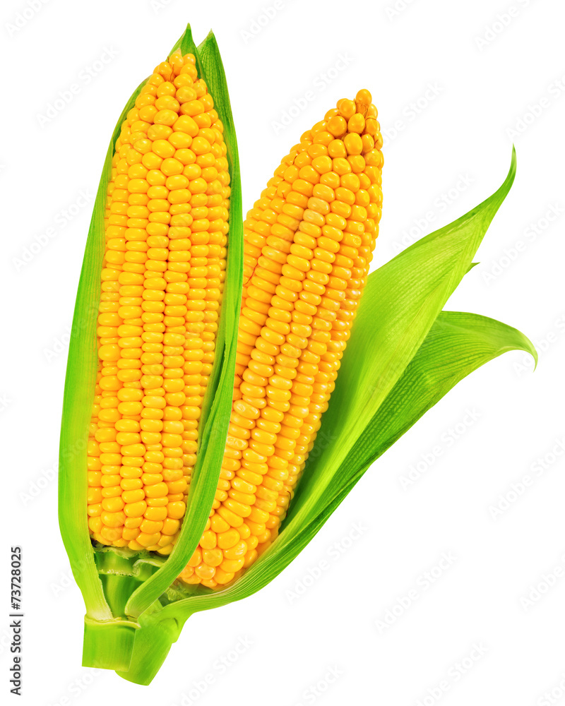 玉米分离