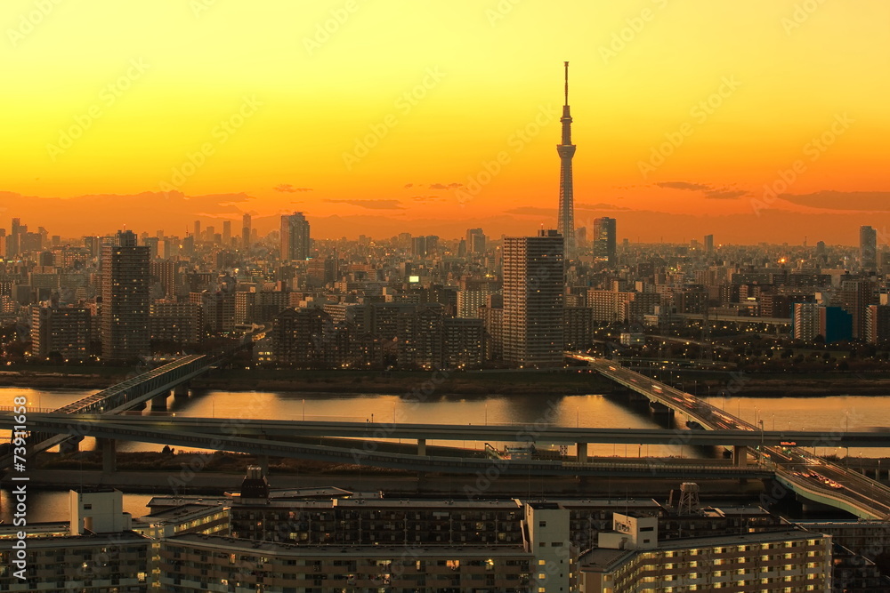拥有东京天空树地标和日落中的河流的东京城市