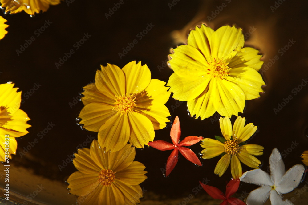yellow flower petals