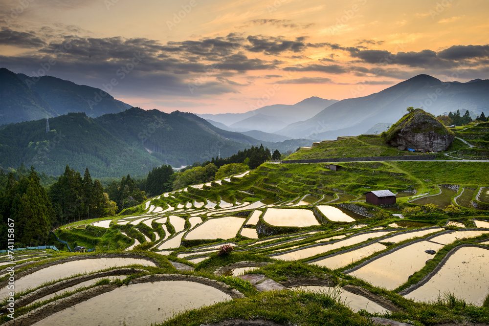 日本熊野的稻田