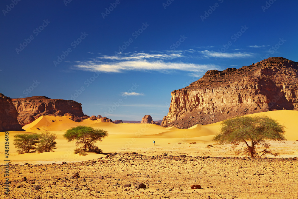 阿尔及利亚塔德拉特撒哈拉沙漠
