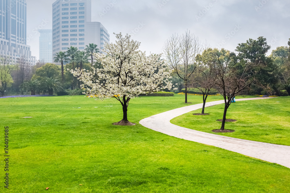 city park in spring