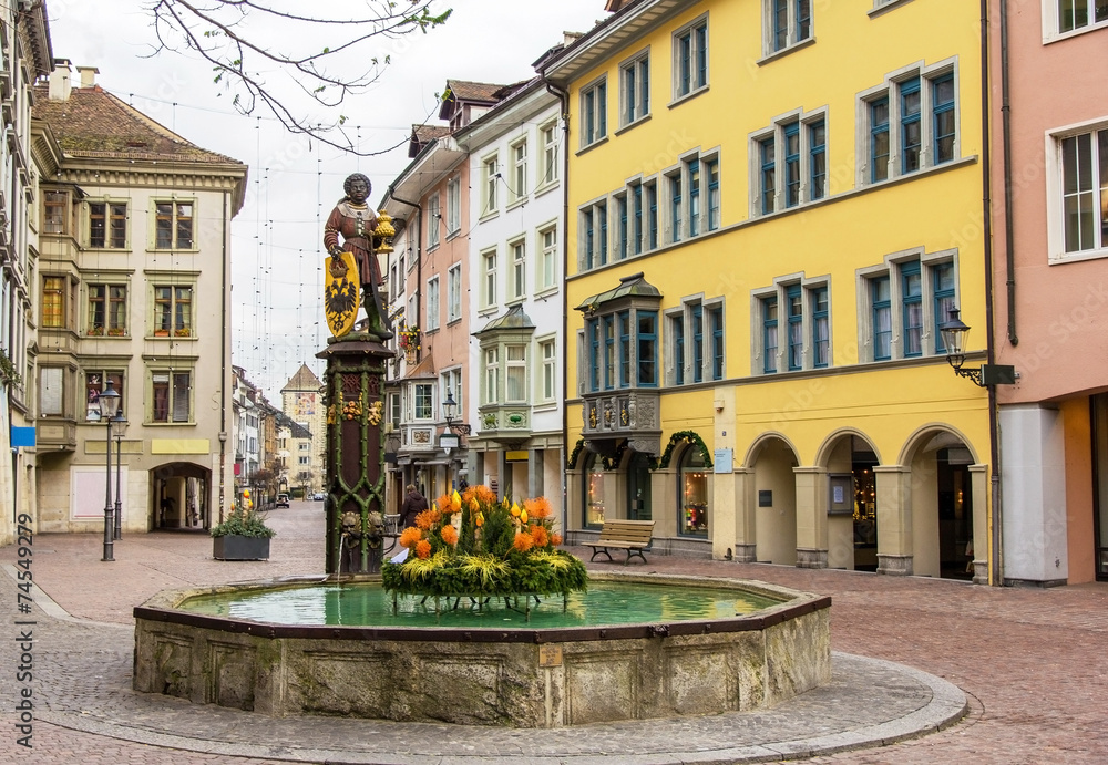 瑞士沙夫豪森的喷泉