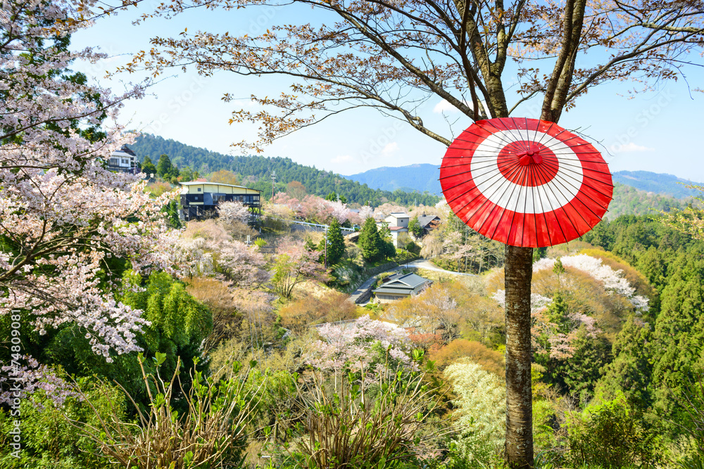 吉野山，日本春天的风景