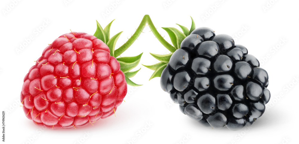 孤立的浆果。白色背景上的新鲜树莓和黑莓，带有修剪路径