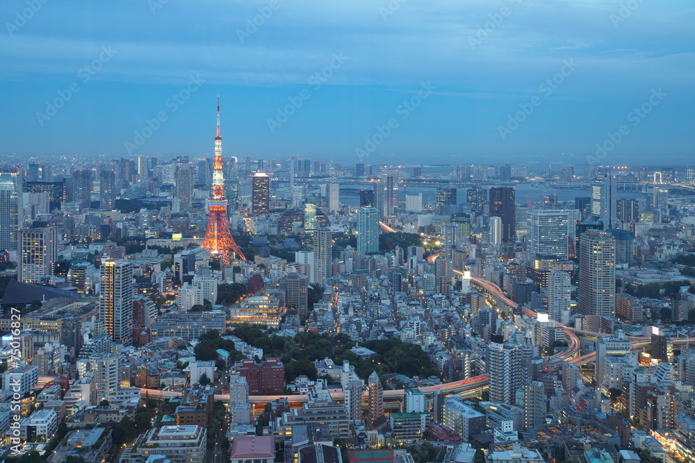 日落前的东京城市景观和东京地标东京天空树