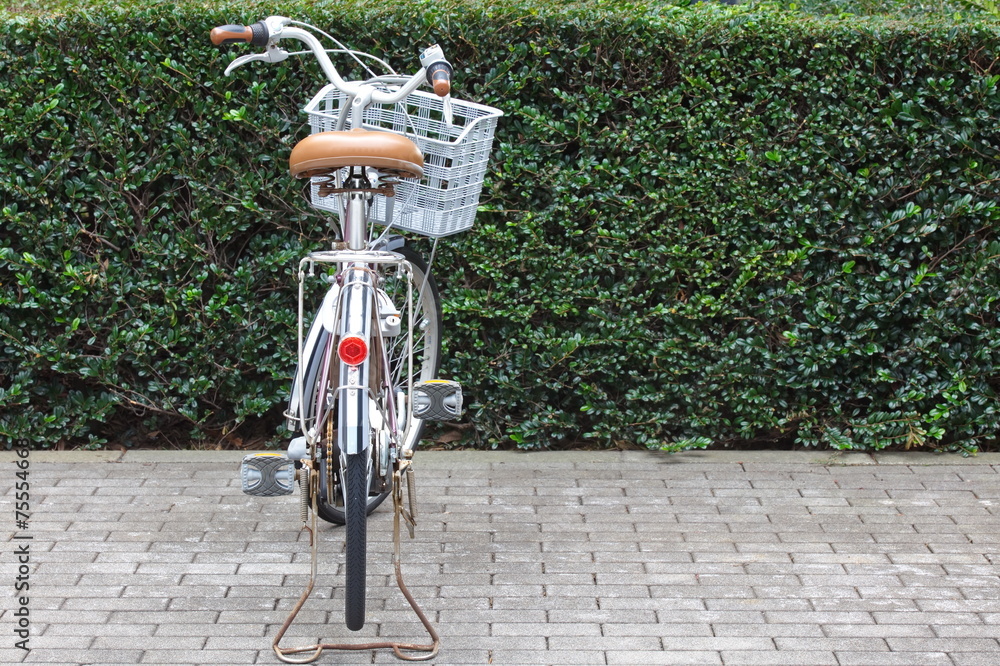 公共绿地公园自行车停车场有一辆自行车