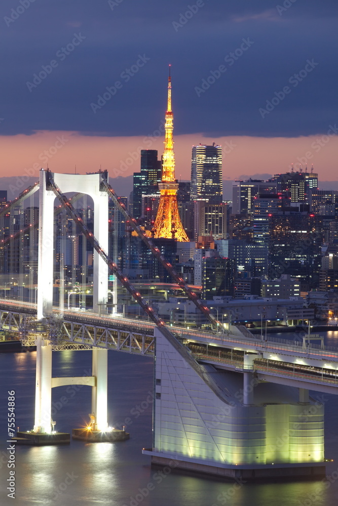 东京湾、彩虹桥和东京塔地标景观