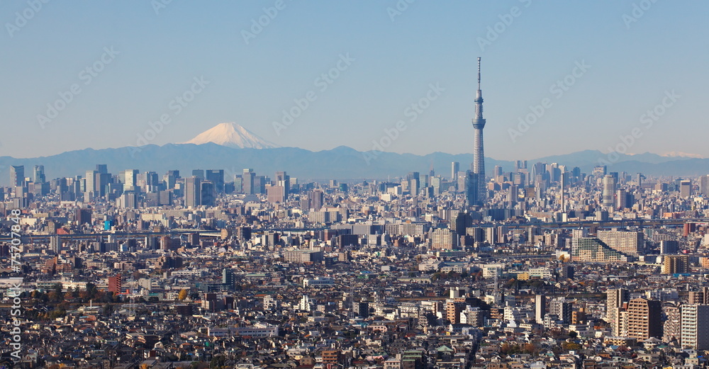 Tokyo city view with Tokyo skytree and mountain fuji