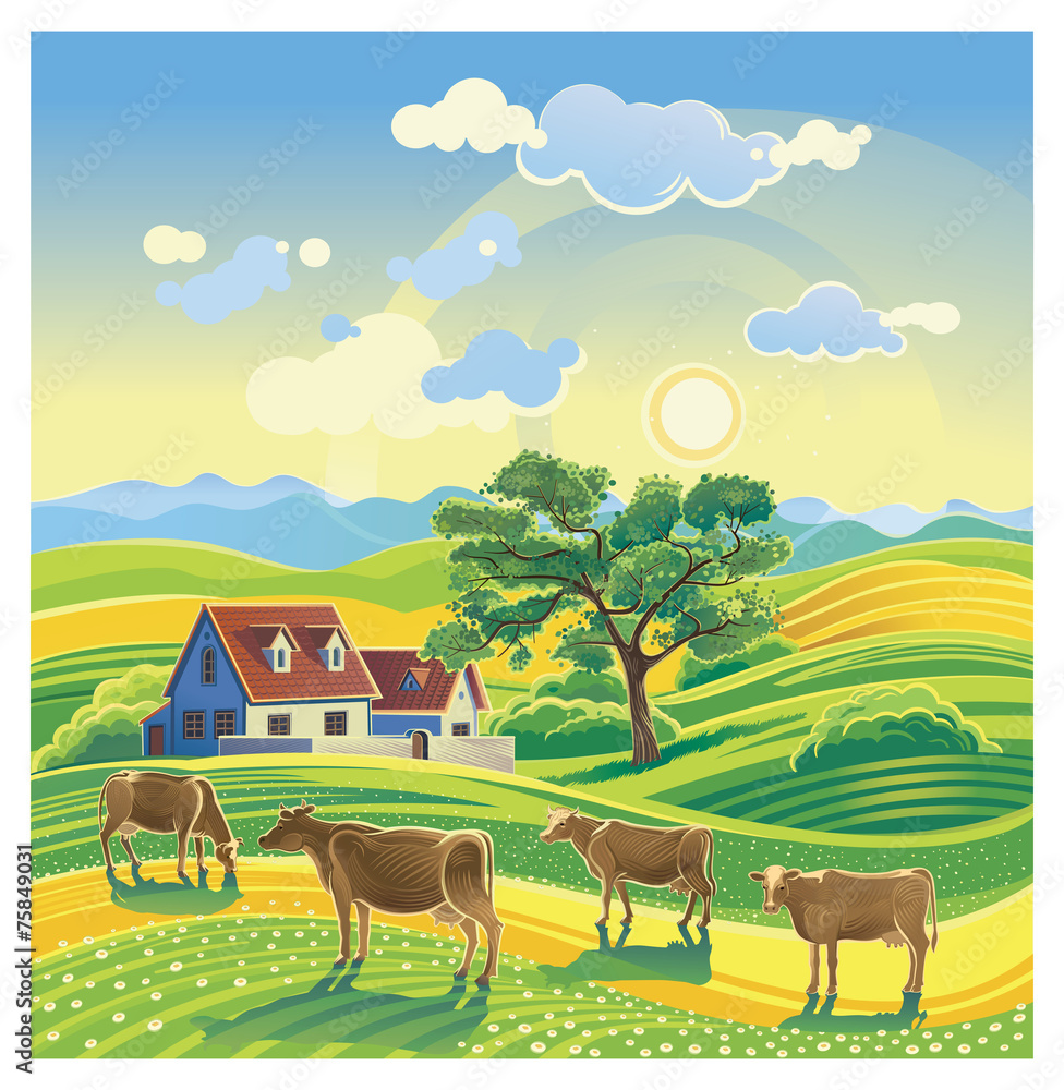 乡村夏日景观与奶牛