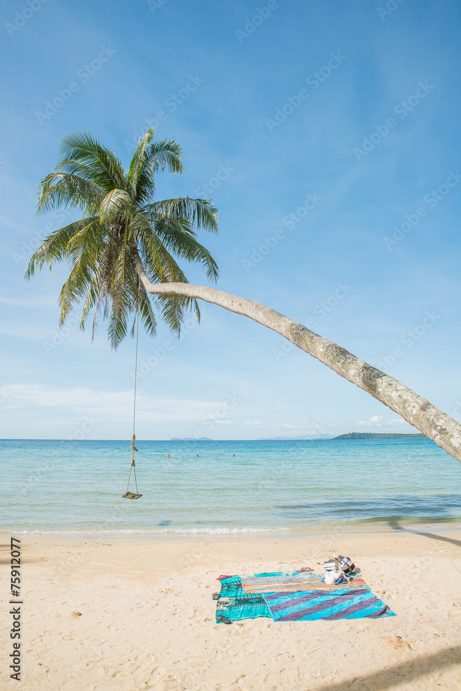 泰国普吉岛海滩海上椰子树上的秋千