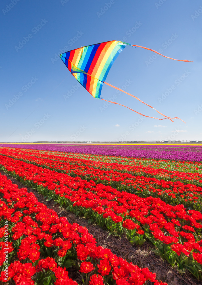 风筝在白天飞过美丽的红色郁金香
