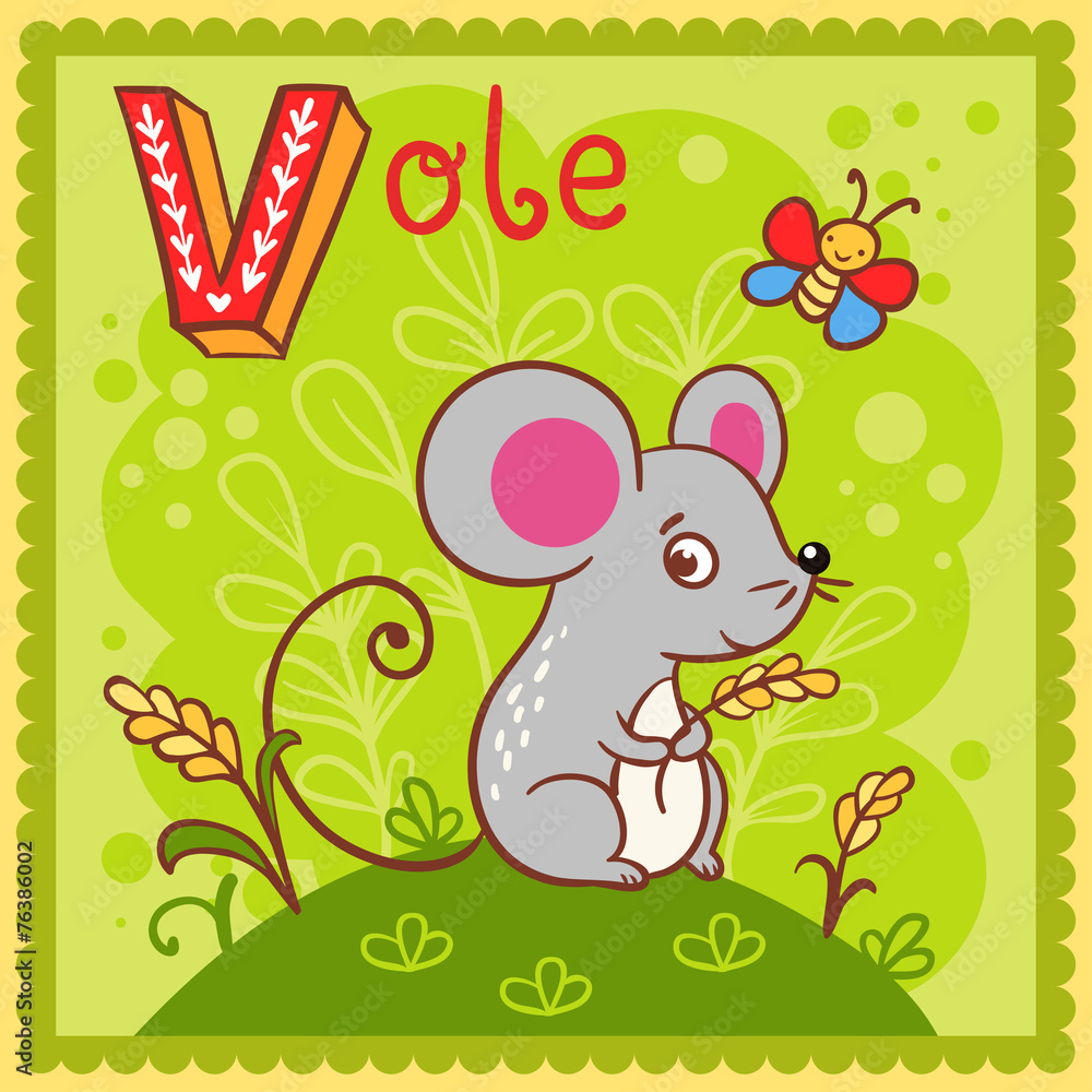 图解字母V和vole。