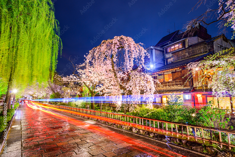 日本京都Gion区夜晚的春天