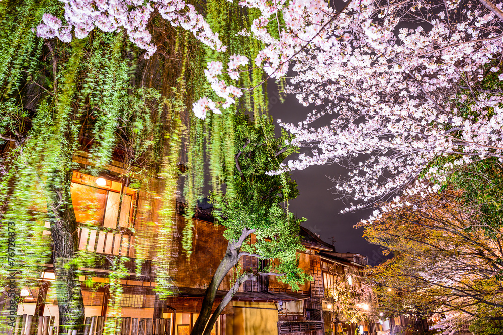 日本京都的春天
