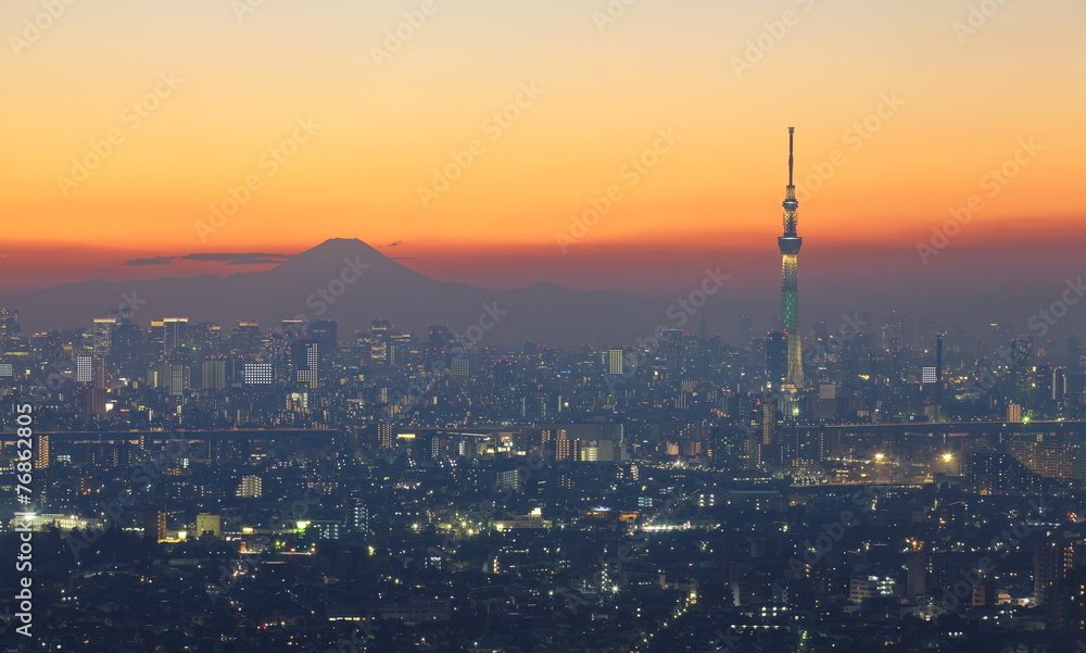 东京天树和富士山的东京城市景观
