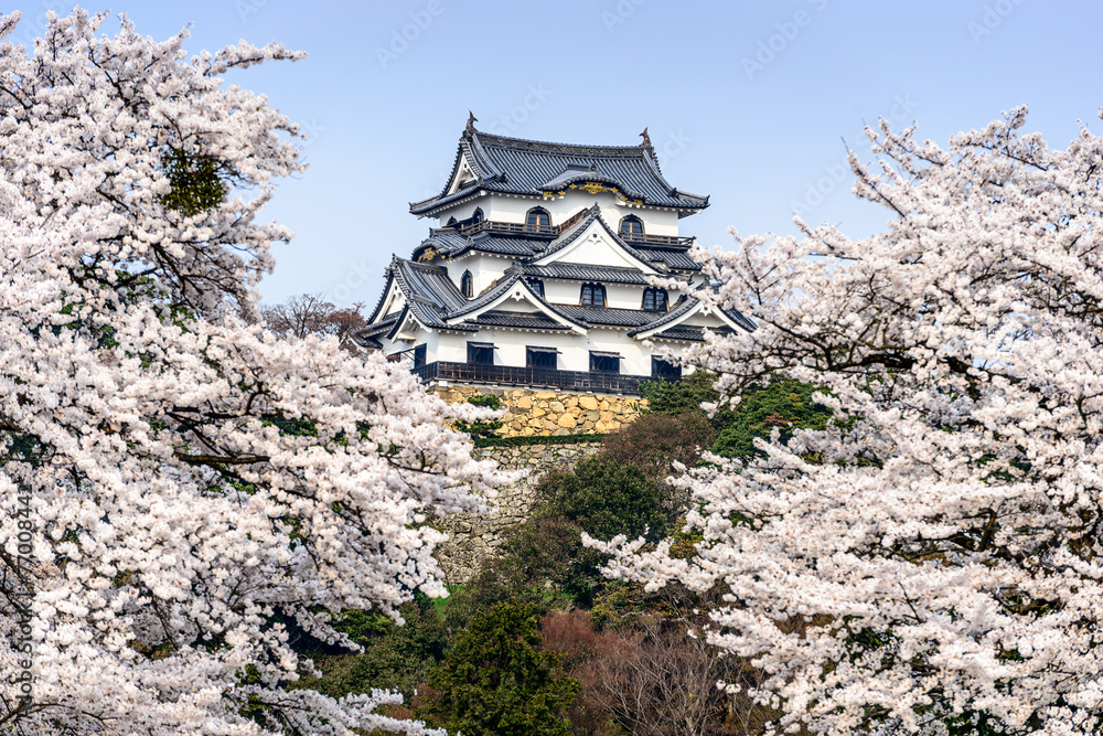日本近江春日的近江城堡