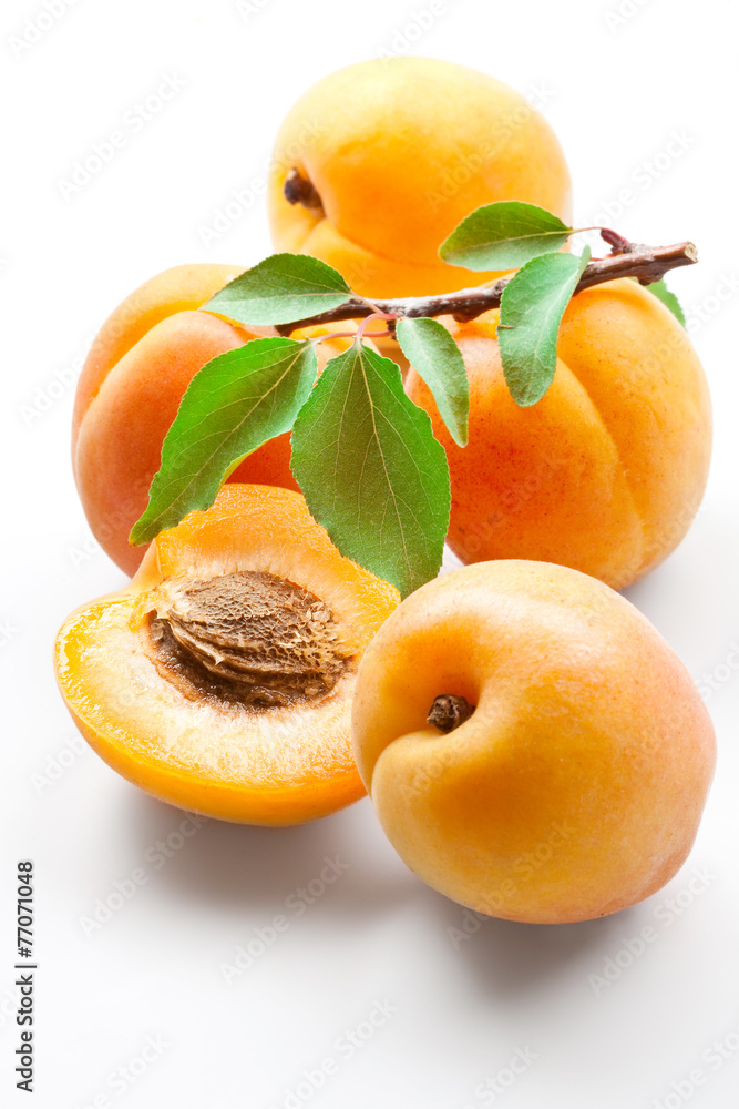 杏子。白色分离的果实。