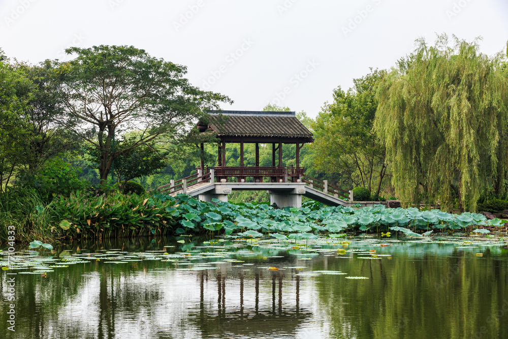 杭州西溪湿地景观