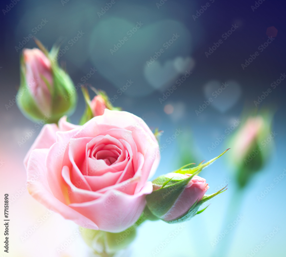 美丽的粉色玫瑰。复古风格的卡片设计