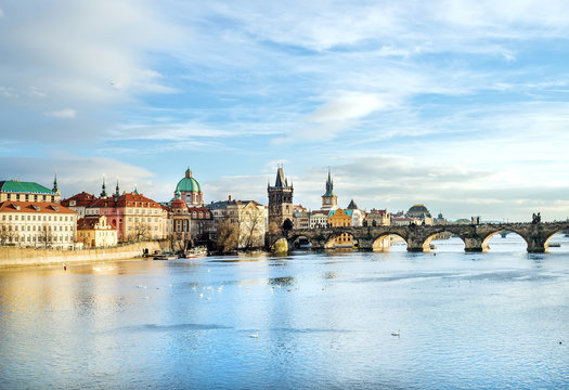 The view over the Vltava river, Charles bridge and white swans f
