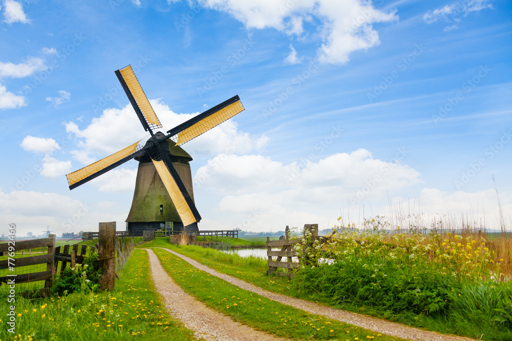荷兰的乡村道路和风车