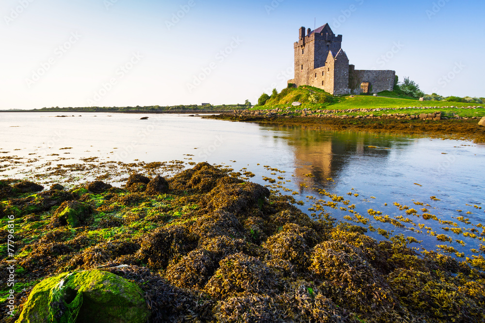 爱尔兰高威郡的Dunguaire城堡