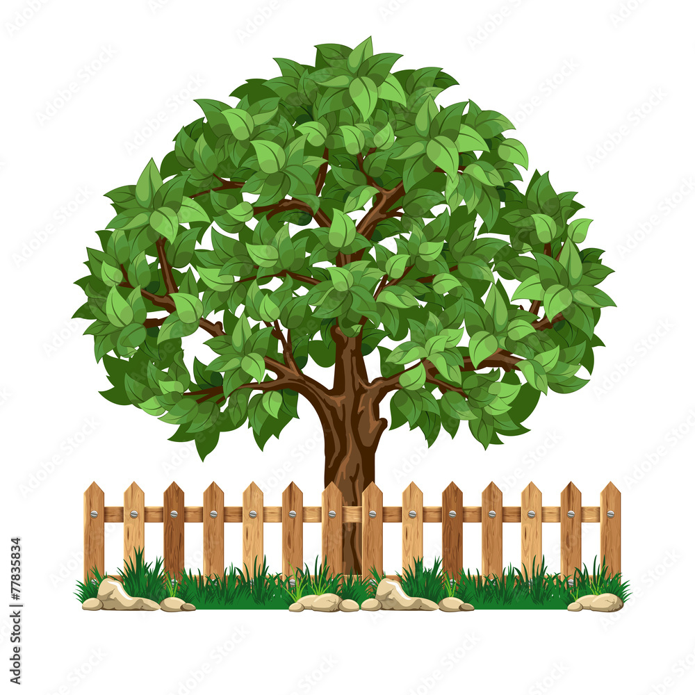 树木和围栏