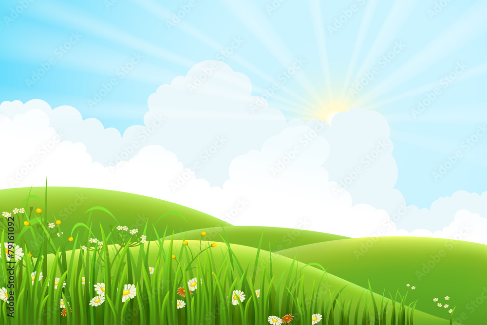 夏季阳光明媚的草地景观，矢量插图