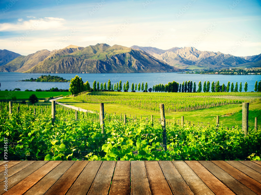 新西兰美丽的自然乡村概念