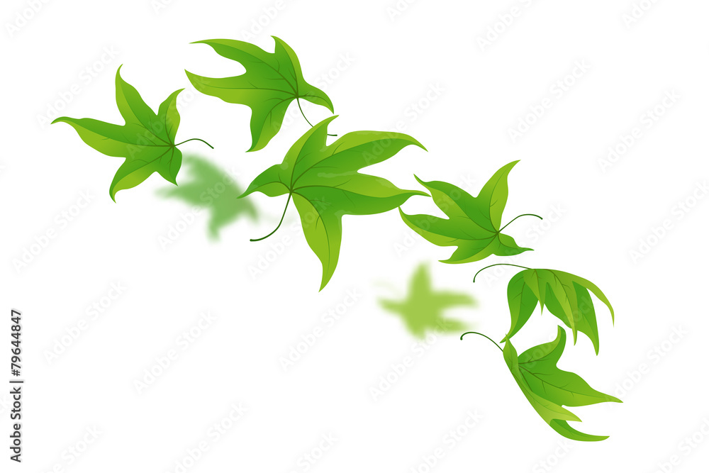 绿色的叶子在白色上飘落和旋转，矢量插图