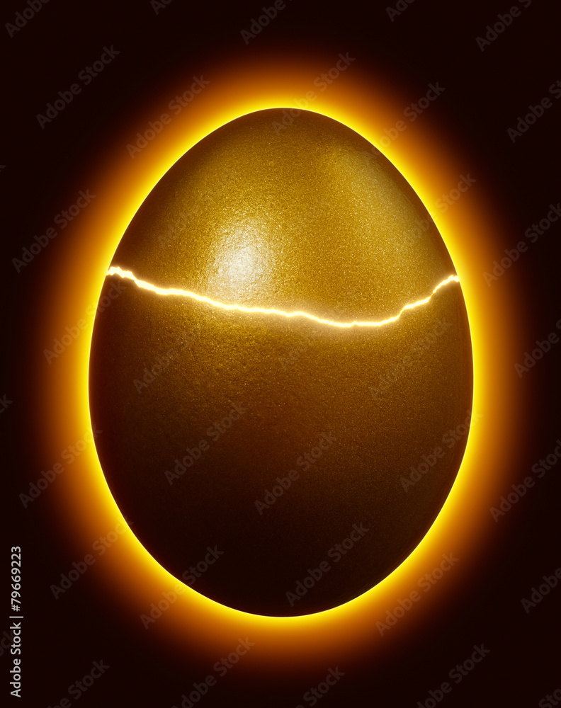 孵化金蛋