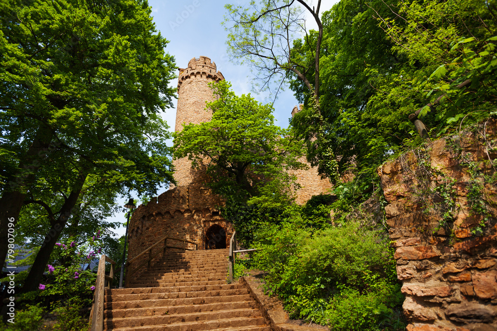 奥尔巴赫城堡入口，绿树成荫