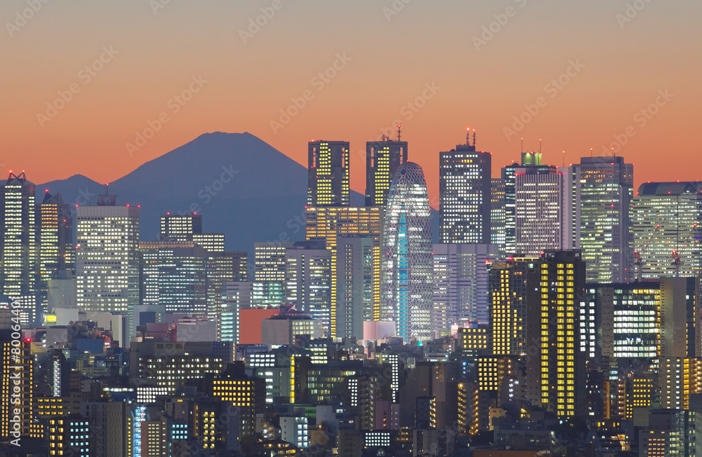 黄昏时的东京城市景观和富士山